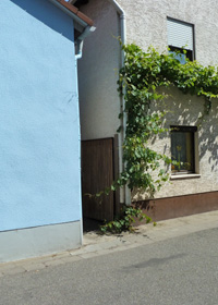 Hollergasse-Pforte